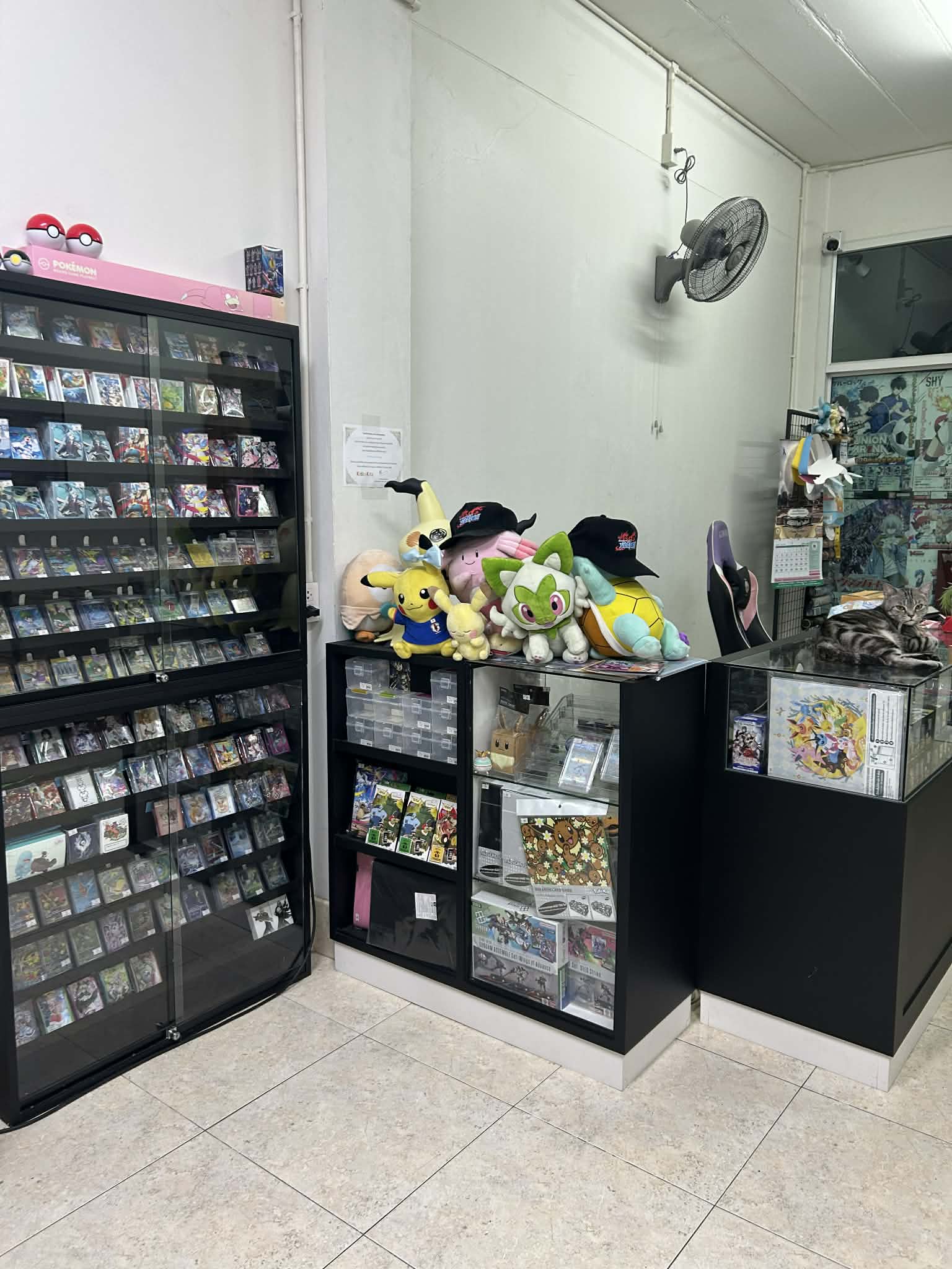 Store shelves